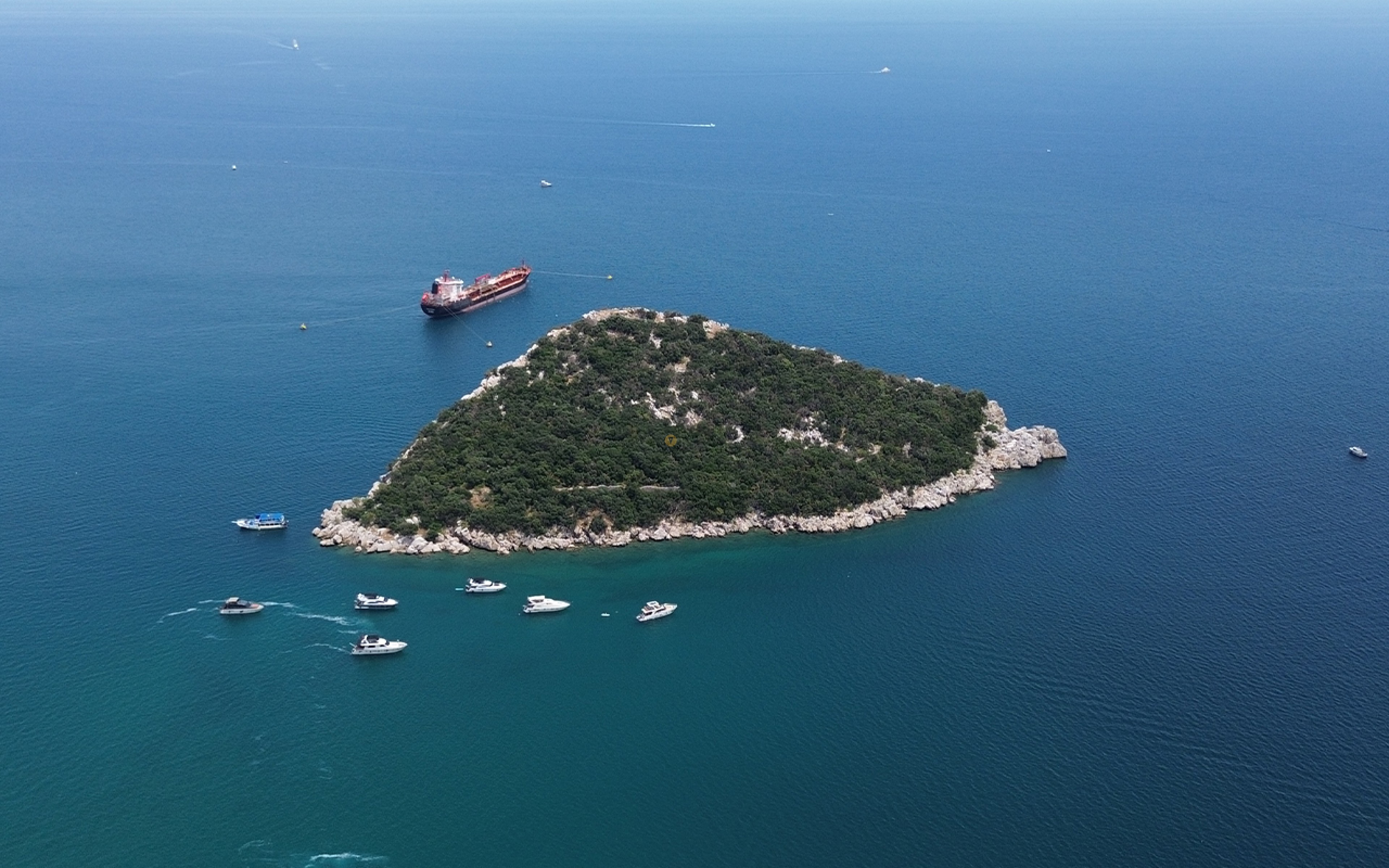 Sıçan Adası