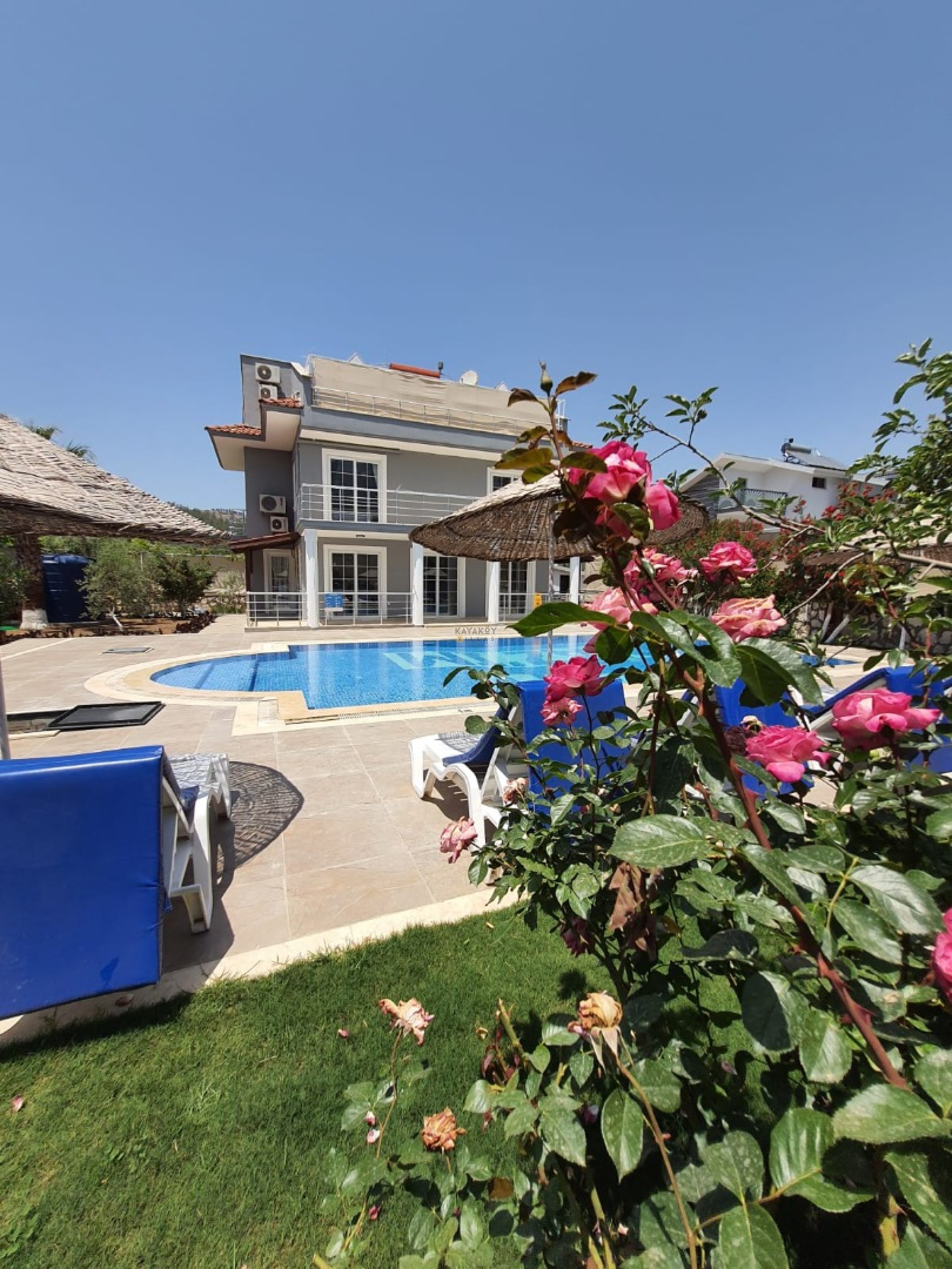 Mobile Gallery 35