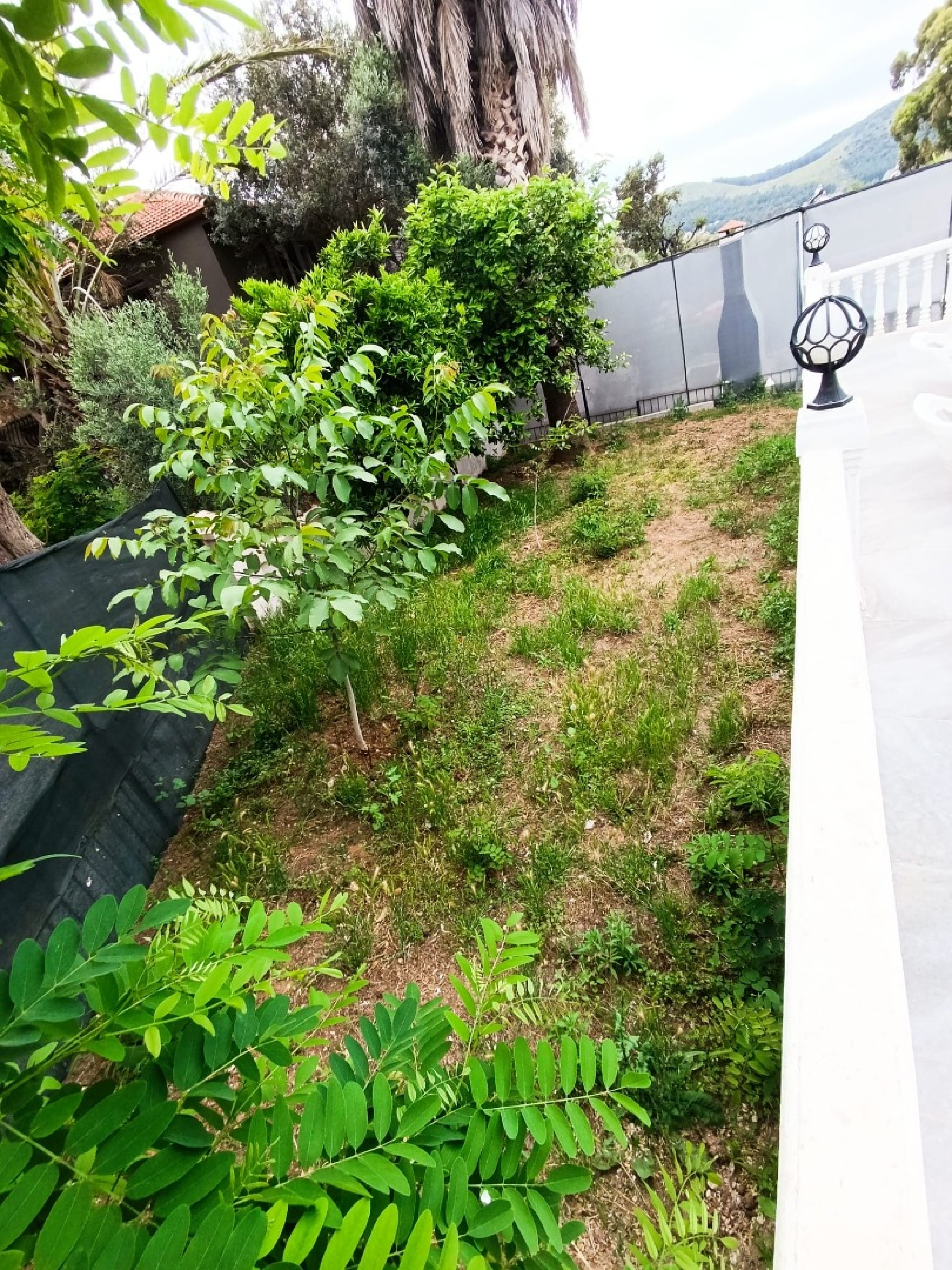Mobile Gallery 18