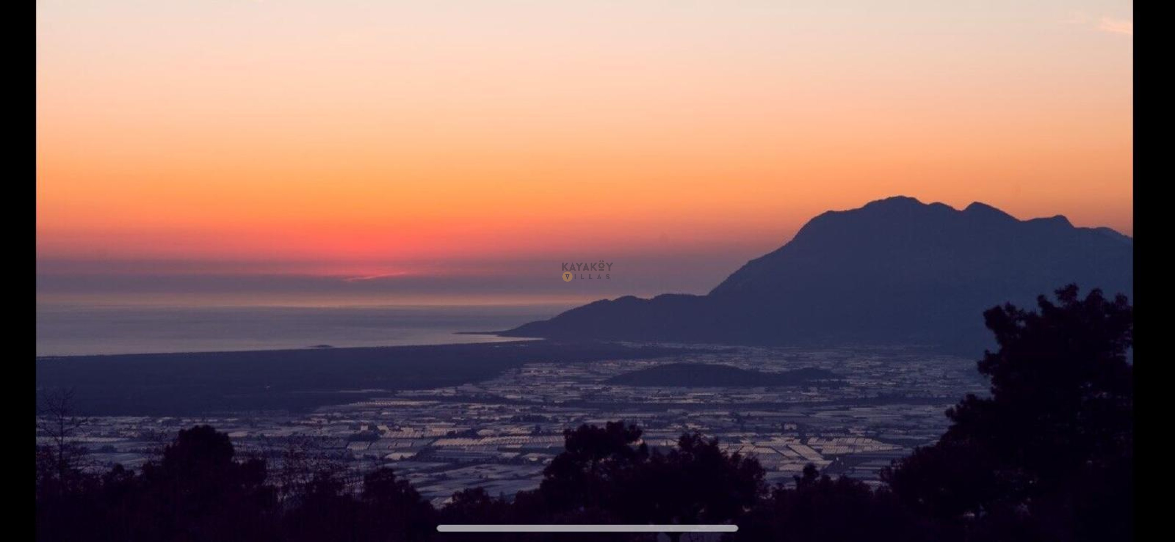 Mobile Gallery 78