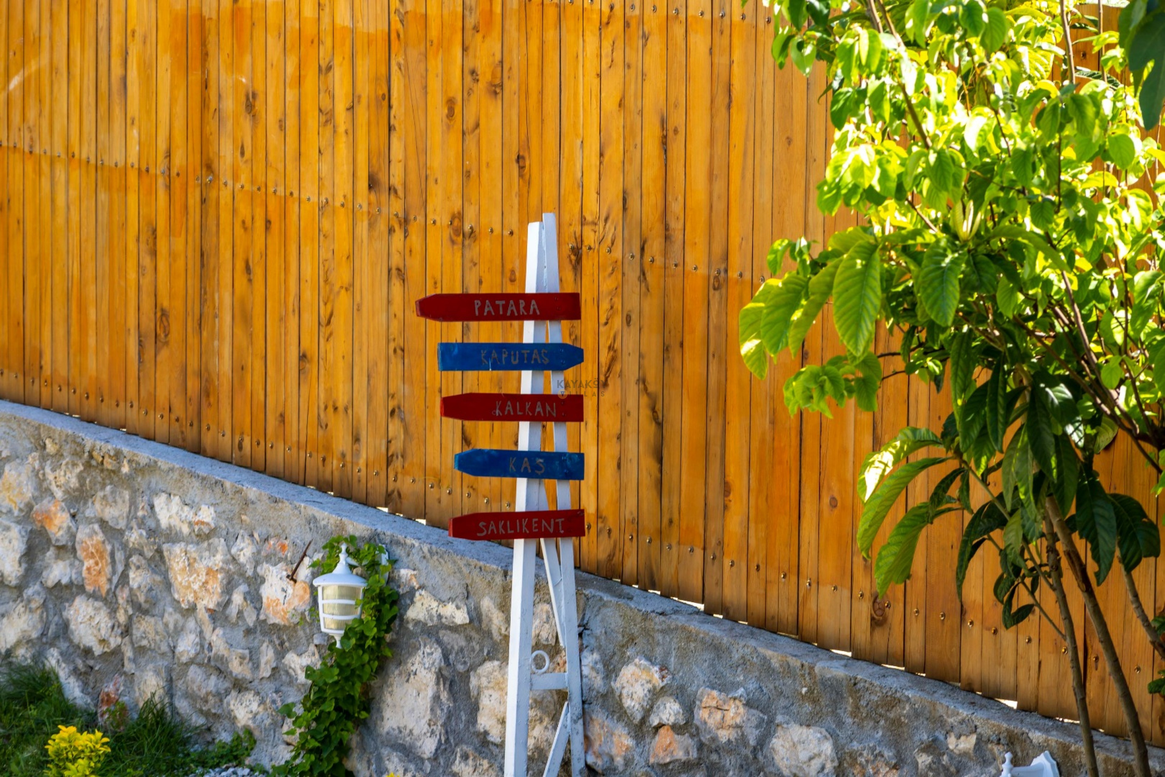 Mobile Gallery 19